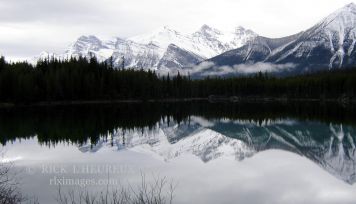 Snow Cap Reflection